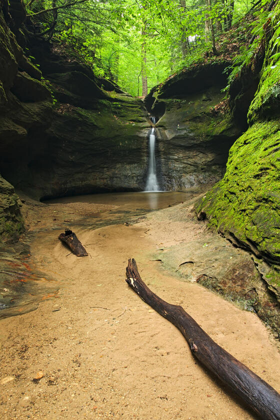 Turkey Run Punch Bowl