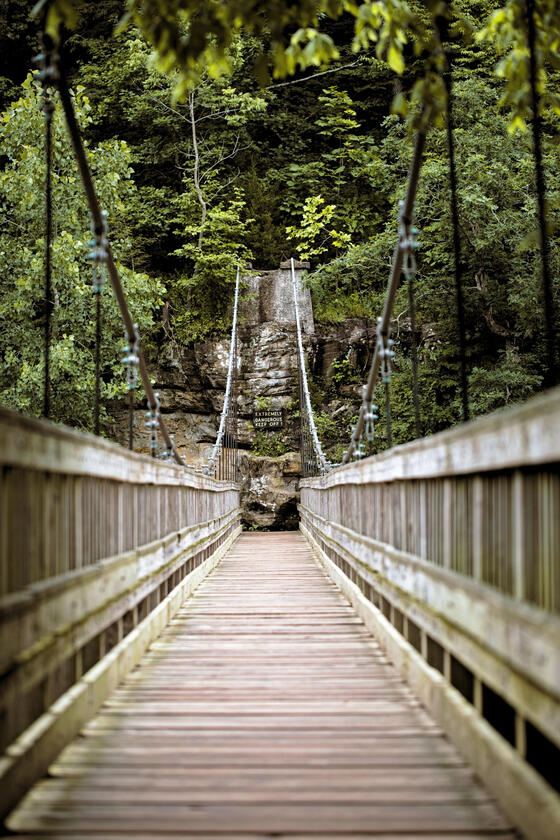 Turkey Run Suspension Bridge