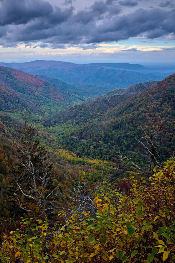 Great Smoky Mountains